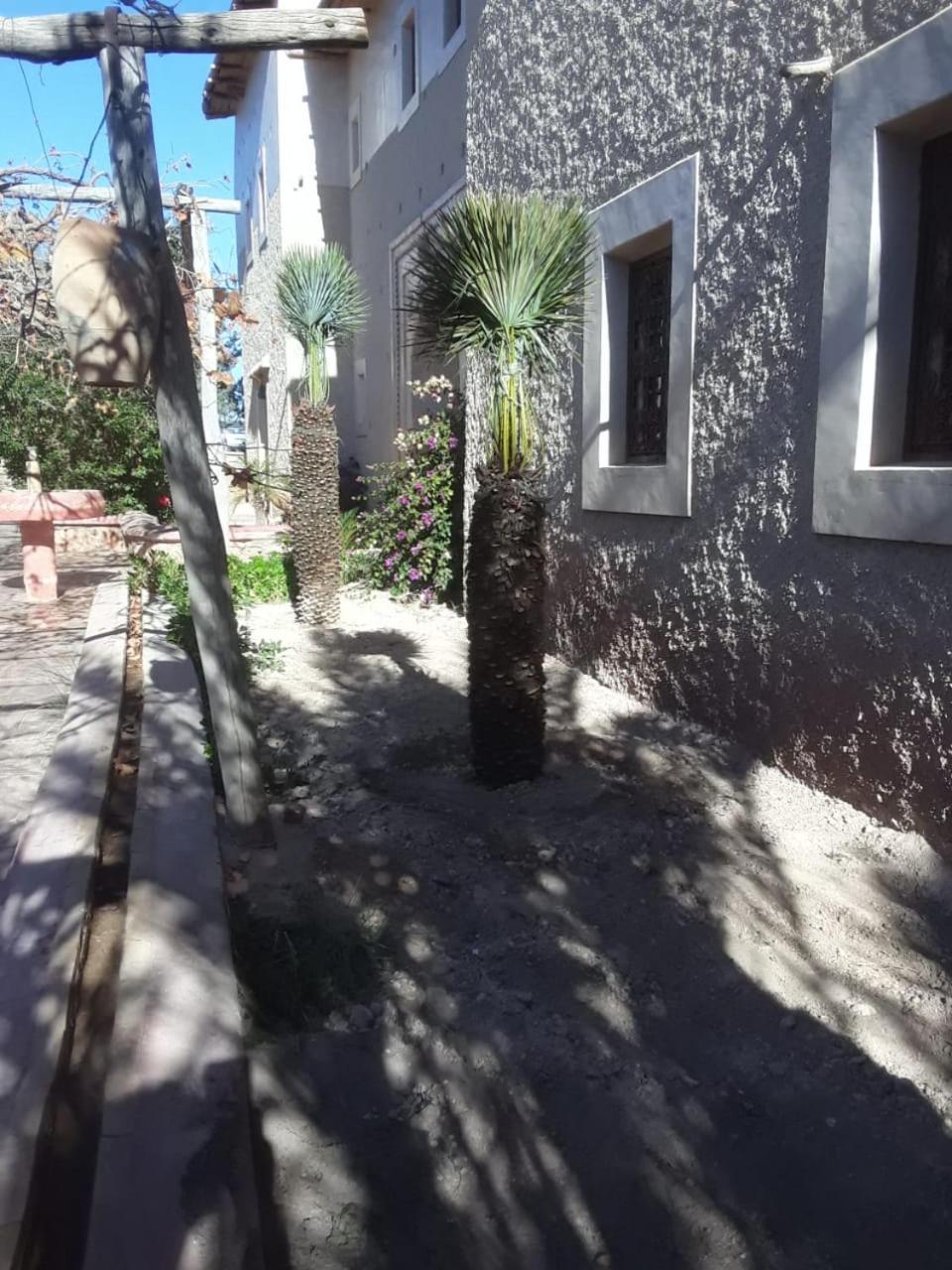 Hotel Kasbah Timdaf Demnate Exterior foto